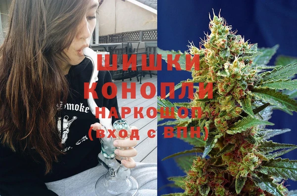 mdpv Заводоуковск