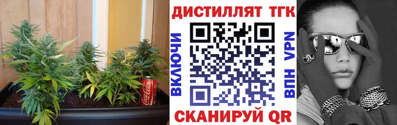 Дистиллят ТГК концентрат  Белинский 