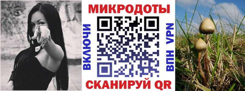 как найти закладки  Белинский  Псилоцибиновые грибы MAGIC MUSHROOMS 