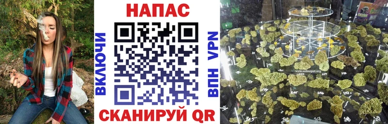 купить наркоту  Белинский  Каннабис семена 